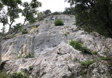 Trail On foot Camaiore - Traversata delle Frazioni Camaioresi - Photo