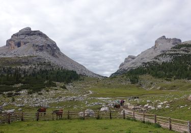 Trail On foot Marèo - Enneberg - Marebbe - IT-17 - Photo