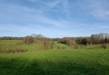 Randonnée Marche Tinlot - Ramelot  - Photo