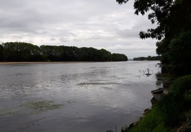 Percorso Marcia Gennes-Val-de-Loire - gennes - Photo