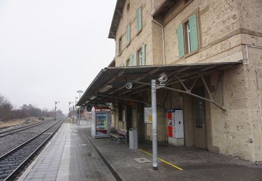 Excursión A pie Mössingen - Zugangsweg - Mössingen - Weg-3 - Bahnhof Mössingen - Richtung Dreifürstenstein (In Weg 2) - Photo