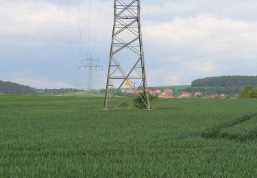 Excursión A pie Bad Neustadt an der Saale - Rederkreuz-Rundweg - Photo