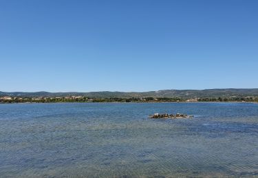 Tocht Stappen Peyriac-de-Mer - Peyriac de Mer - Salines  - Photo