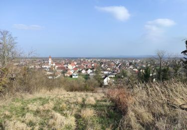 Trail Walking Rixheim - Rixheim  - Photo