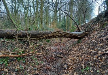 Randonnée Marche Liège - Bois-de-Breux-Bois de Fayenbois  Boucle  - Photo