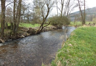 Tocht Te voet Sinntal - Altengronau - Rundweg am Grauberg - Marder - Photo