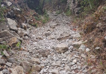 Tour Wandern Les Vans - les vans Naves  - Photo