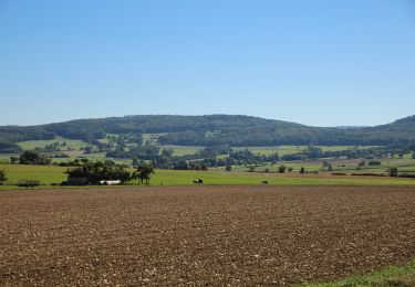 Tour Zu Fuß Rasdorf - Rundweg 1, Setzelbach - Photo