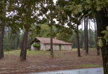 Tour Wandern Moustey - Moustey Labouheyre  - Photo