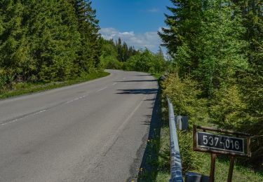 Excursión A pie okres Poprad - Náučný chodník Rakytovské plieska - Photo