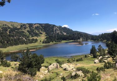 Excursión Senderismo Les Angles - 20220714 bollosa - refuge Camporells-lac d’Aude - Photo