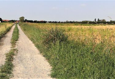 Randonnée Marche Ronsecco - CR_Francigena_AK_11_Ronsecco_Verceil_20180915 - Photo