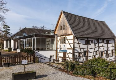 Tocht Te voet Wegberg - Rundweg A4 Tüschenbroicher Mühle - Photo