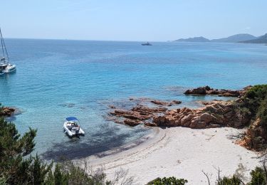 Tour Wandern Porto-Vecchio - 2023-06-24 Marche Plage Santa Giulia vers Palombaggia - Photo