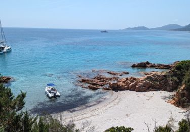 Percorso Marcia Porto-Vecchio - 2023-06-24 Marche Plage Santa Giulia vers Palombaggia - Photo