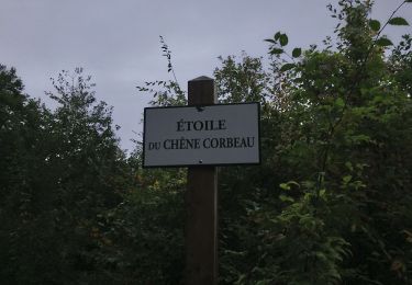 Tocht Stappen Saint-Germain-en-Laye - circuit MA 271019  - Photo