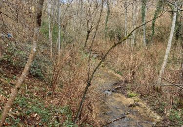 Trail Walking Varacieux - Combe Robert depuis Essemat - Photo