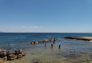 Tocht Te voet Sausset-les-Pins - Mer et Pinéde Valapoux - Photo