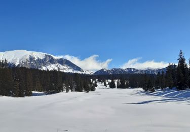 Trail Walking Saint-Agnan-en-Vercors - Les Hauts Plateaux du Vercors - Photo