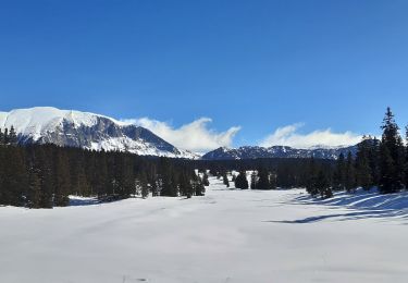 Tocht Stappen Saint-Agnan-en-Vercors - Les Hauts Plateaux du Vercors - Photo