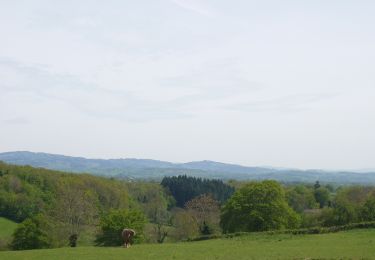 Randonnée Marche Saint-Julien-de-Jonzy - St Julien de Jonzy - Photo