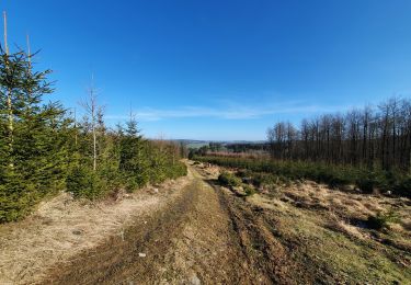 Tour Wandern Sainte-Ode - rando lavacherie 26 -02-2022 - Photo