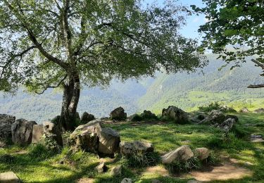 Tocht Stappen Bilhères - Bilhères  Les cercles de pierre - Photo