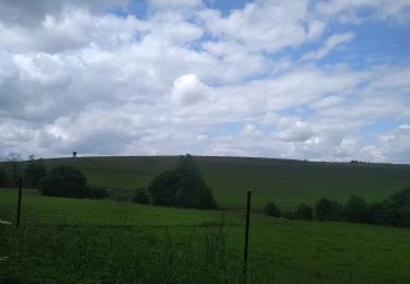 Tour Wandern Rahlingen - Les foulées du partage - Photo