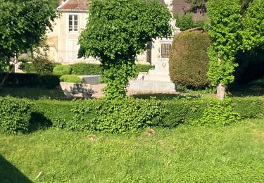 Trail Walking Doulaincourt-Saucourt - Doulaincourt saint-Brice - Photo
