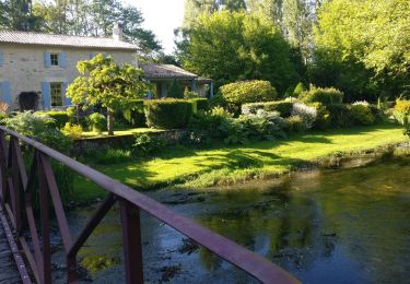 Tocht Stappen Saivres - La Carrière de Donia - Photo