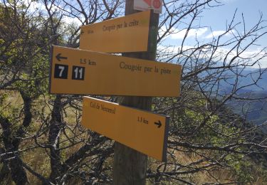 Trail Walking Teyssières - le cougoir - Photo