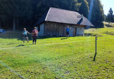 Trail Walking Montcel - MASSIF DES BAUGES: PLATEAU DU REVARD AUTOUR DE LA CROIX DES BERGERS (bis) - Photo