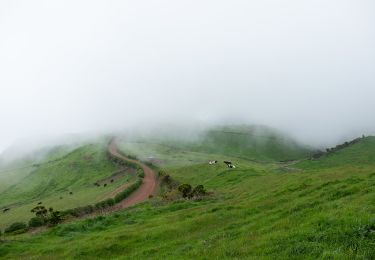 Percorso A piedi Ribeira Seca - Serra do Topo - Fajã dos Vimes - Photo