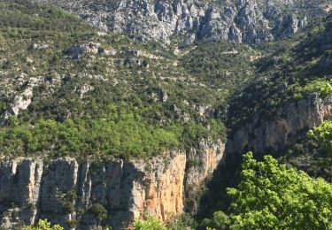 Trail Walking Aiguines - Gorges du Verdon - Sentier de l'Imbut - Photo