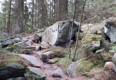 Trail Walking Lutzelhouse - Rocher de Mutzig à partir du Schliffstein. - Photo