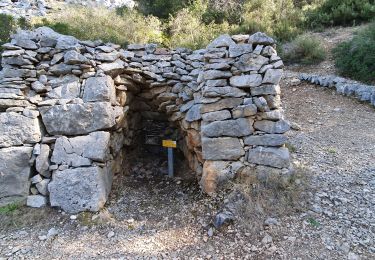 Excursión Senderismo Évenos - Le broussan croupatier fin randonnée - Photo