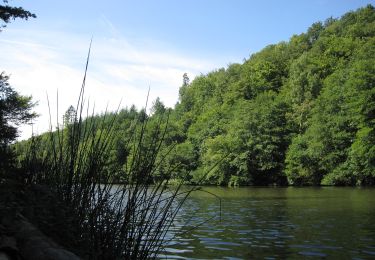 Tocht Te voet Heidenrod - Naurother Grubengold - Photo