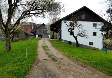 Tour Zu Fuß Thalgau - Große Plaike - Photo