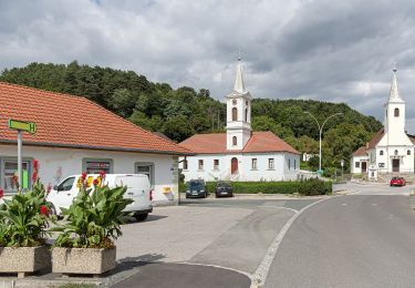 Tocht Te voet Gemeinde Mariasdorf - Grodnau - Braunriegel - Kalkgraben - Schartenäcker - Photo