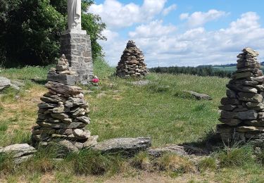 Tour Wandern Salles-Curan - la vierge des lacs - Photo