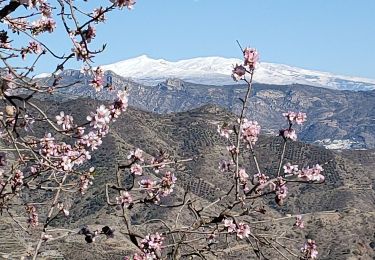 Tour Wandern Almuñécar - Rescate au dessus - Photo