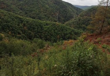 Trail Walking Soursac - Fred les roches noires - Photo