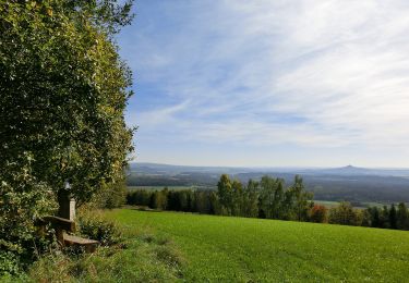 Randonnée A pied Kirchenpingarten - Speichersdorf Rundwanderweg Nr. 8 