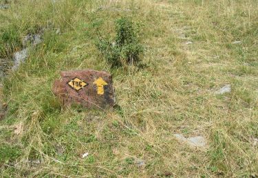 Percorso A piedi Ollomont - Alta Via n. 1 della Valle d'Aosta - Tappa 13 - Photo