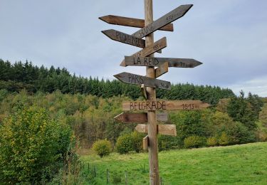 Tour Wandern Assesse - Assesse 18/10/23 - Photo