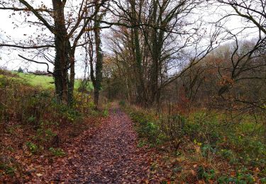 Tour Wandern Flémalle - La vallée du ruisseau des Awirs   - Photo