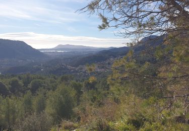 Excursión Senderismo Le Revest-les-Eaux - Revest Ravin du Cierge - Photo