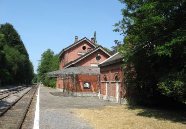 Tour Zu Fuß Viroinval - Les Anciennes Carrières - Photo