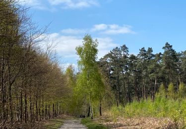 Tour Wandern Villers-la-Ville - VLV - promenade de l’hermitage (printemps) - Photo