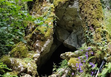 Tour Wandern Montfleur - Monfleur-Bourcia-Nivigne-H - Photo